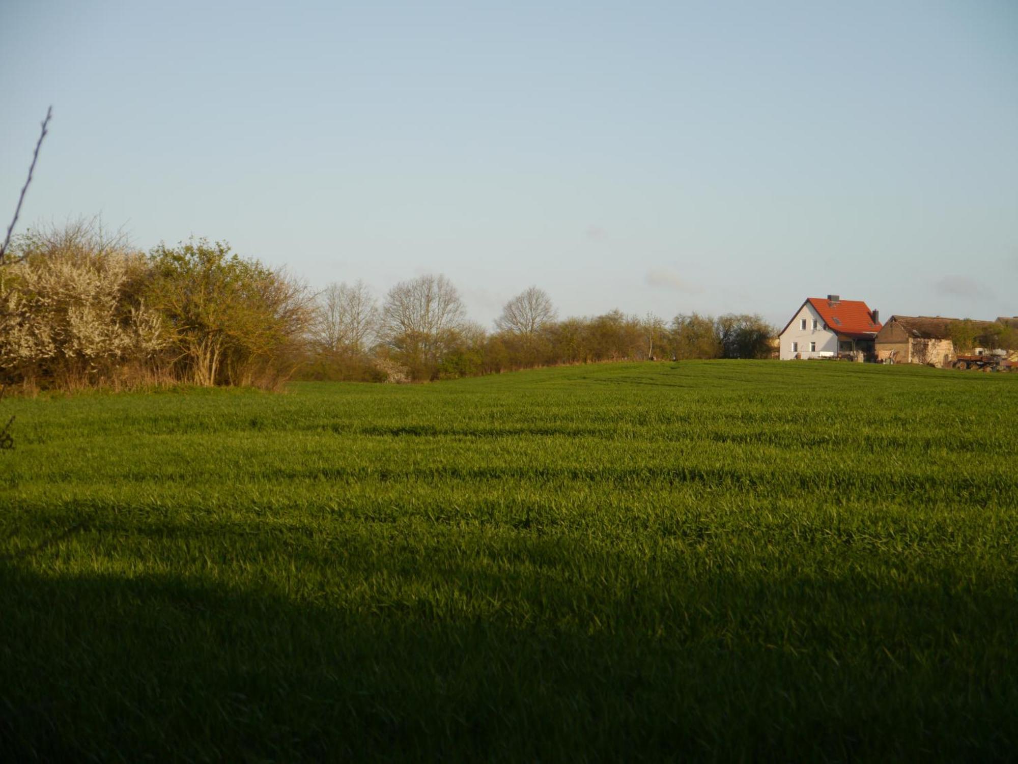 Ferienhaus-Uckermarkblick Rosenow  외부 사진