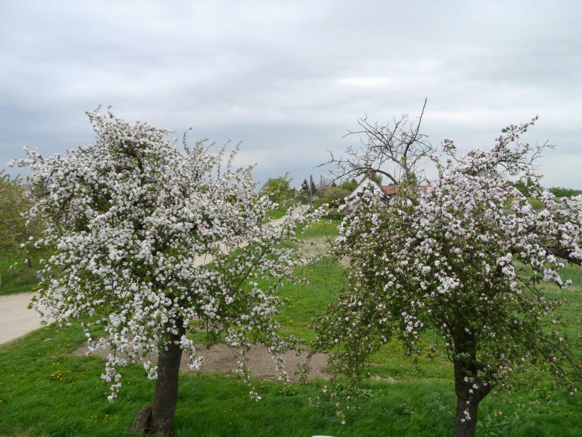 Ferienhaus-Uckermarkblick Rosenow  외부 사진